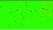 Flies Flying #2 / Green Screen - Chroma Key
