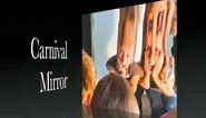 Carnival Mirror The Original Fun House Distortion Mirror 2012 Halloween Prop and Display
