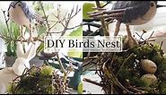 DIY Birds Nest