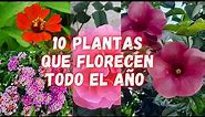 10 PLANTAS que FLORECEN TODO EL AÑO y NO Necesitan de Muchos CUIDADOS | plantas con muchas flores |