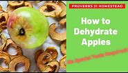 How to Dehydrate Apple Slices - no special tools required!