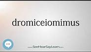 dromiceiomimus - Dinosaur Names 🔊☄