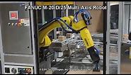 Single Cell Robotic Palletizer with FANUC M-20iD/25 Robot