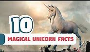 10 Magical Unicorn Facts