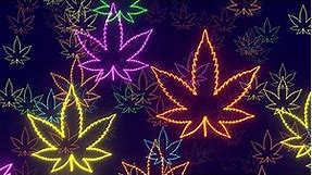 Neon Lights Cannabis Leaf Logo Flying Forward 4K Free Colorful Motion Background #2