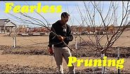 Pruning Plum Trees | Pruning Fruit Trees Without Fear!