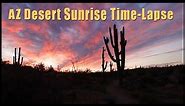 Vibrant Arizona Desert Landscape Sunrise Time-Lapse