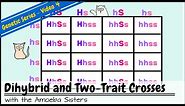 Dihybrid and Two-Trait Crosses