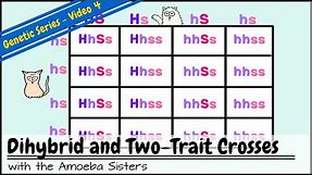 Dihybrid and Two-Trait Crosses