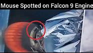 Mouse Spotted on SpaceX rocket || Falcon 9 Rocket Launch || Mouse on rocket