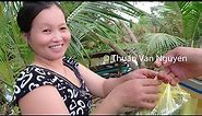 Vietnam || Rural life in An Bien District || Kien Giang Province