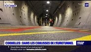 Coquelles: dans les coulisses de l'Eurotunnel