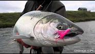 How to Catch Silver Salmon - OPST