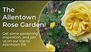 Allentown Rose Garden