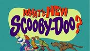 All the Scooby Dooby Doo From What's New Scooby-Doo?