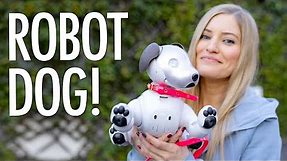 Sony's Robot Dog! A day with AIBO!