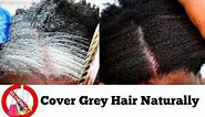 How To Turn White Or Grey Hair Into Black Naturally With No Chemicals Natural Hair Dye Step By Step