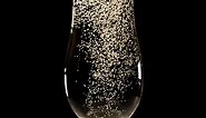 Champagne bubbles in a flute. Sparkling wine drink on black background.