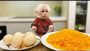 Chef Bibi monkey cooks Yummy Egg Fried Rice! No point criticizing