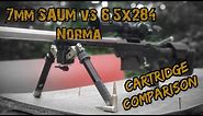 7mm SAUM vs 6.5x284 Norma Cartridge Comparison