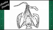 How to Draw a Flying Fox Bat