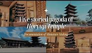 Five-storied Pagoda of Horyuji Temple - Miniature Documentation