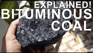 How coal is formed - Practically demonstration!
