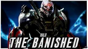 Halo’s Brutal Faction - The Banished | FULL Halo Lore & Origin Story