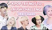 Kpop Try Not To Laugh Challenge ( Kpop Funny Moments )