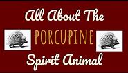 🌹🌙 THE PORCUPINE SPIRIT🌙🌹Spirit Animal Symbolism