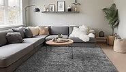 Ophanie Machine Washable 5x8 Rugs for Living Room,Grey Fluffy Carpet Large Fuzzy Plush Shag Comfy Soft, Non-Slip Indoor Floor Carpet,for Kids Boys Girls, Room,Bedroom,Playroom, Home Decor Aesthetic