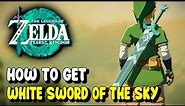 Zelda Tears of the Kingdom WHITE SWORD OF THE SKY Location (Skyward Sword's Weapon)