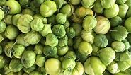 What Is a Tomatillo — And How Is It Different From a Tomato?