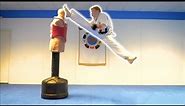 Taekwondo Training on the BOB XL | Martial Arts Kicking Sampler | Ginger Ninja Trickster