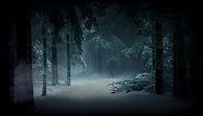 Live Wallpaper 4k Dark Snowy Forest