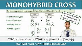 Monohybrid Cross Examples - GCSE Biology (9-1)