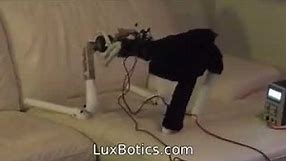 Older humanoid robot prototyp movement testing 1