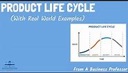 Product Life Cycle (With Real World Examples) | Strategic Management | From A Business Professor