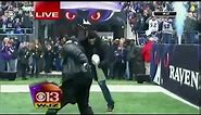 Ray Lewis Dances For Final Time At M&T Bank Stadium Super Bowl XLVII Victory Rally