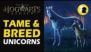 How to Get & Breed UNICORNS in Hogwarts Legacy