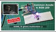 Common Anode RGB LED, Hardware setup for Arduino and Manual testing.