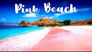 Top 10 Best Pink Beaches In The World 2020