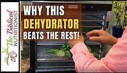Best Dehydrator For Food in 2024 - All The Features You REALLY Need!