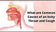 What are Common Causes of an Itchy Throat and Cough