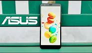 Asus ZenFone Max Plus M1 Review & Best Features