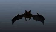 Flying Bat Animation