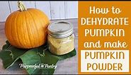 HOW TO DEHYDRATE PUMPKIN AND MAKE PUMPKIN POWDER: Preserve pumpkin for food storage all year long