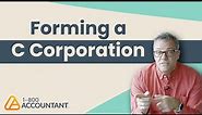 Everything You Need to Know When Forming a C Corporation