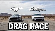 Ford Mustang Ecoboost v Dodge Challenger R/T | DRAG RACE