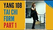 Learn the Yang 108 Tai Chi Form - PART 1